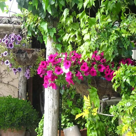 Guest house Casa Rural 